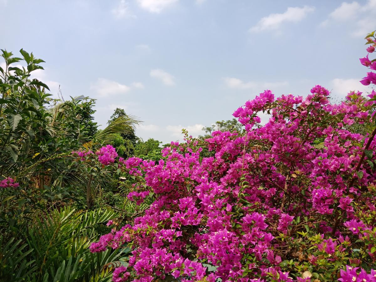 Saigon Riverside Retreat Ho Şi Min Dış mekan fotoğraf